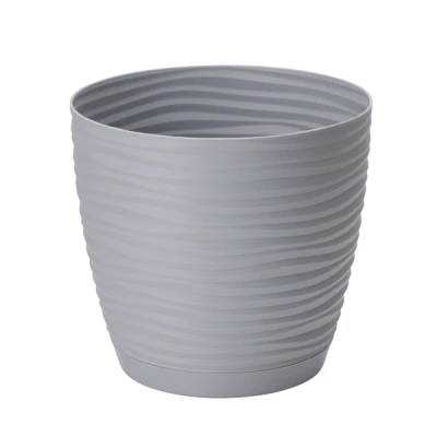 DONICZKA SAHARA PETIT Z/P *23* PLATYNA