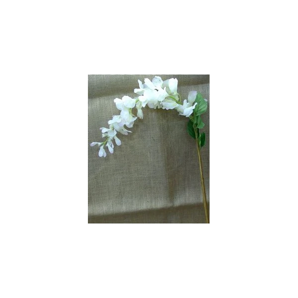 EUR-KWIAT GLICYNIA/2/KREM