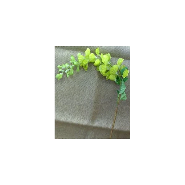 EUR-KWIAT GLICYNIA/2/ŻÓŁTA