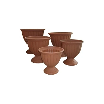 GAZON TULIPAN *4*- WYSOKI 26CM