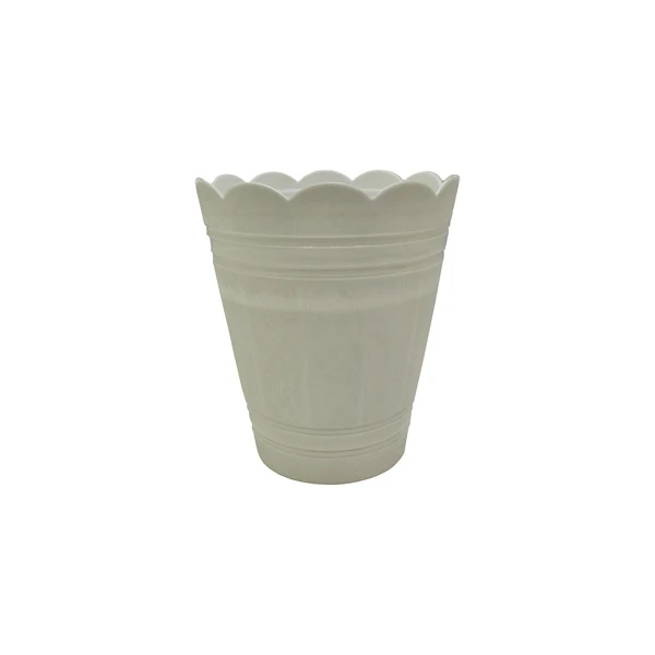 PALMÓWKA BIAŁA *2*        30CM