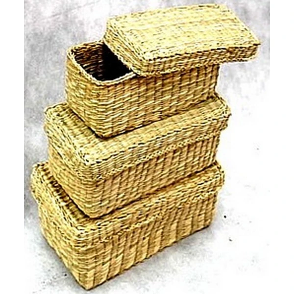 DAN-KPL.5 PUDEŁ.Z TRAWY  SE807