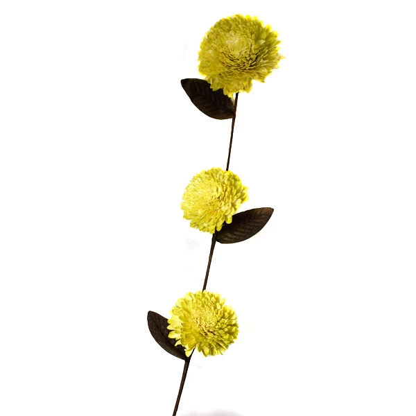 EUR-KW/EKO/01/ZIELONA