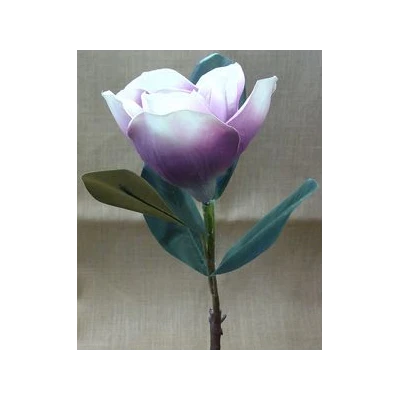 EUR-KWIAT MAGNOLIA/FIOLET