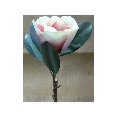 EUR-KWIAT MAGNOLIA/RÓŻ