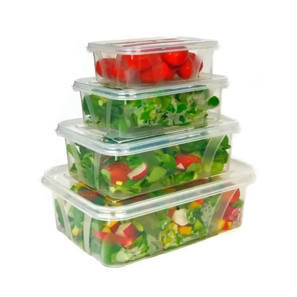 KON-KPL.4 POJEMNIKÓW MASTER BOX FOOD 242