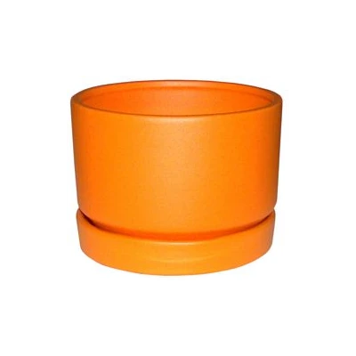 PRUS-DONICZ.*WALEC NISKI 1* ZP