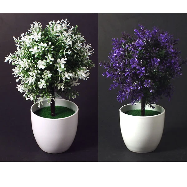 SZ-KWIAT W DONICZCE S144184