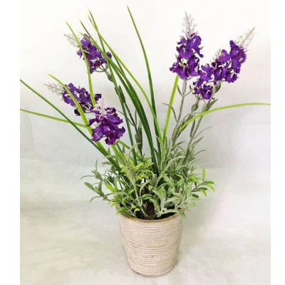 TOM-ROŚLINA W DONICZCE 30CM RD18