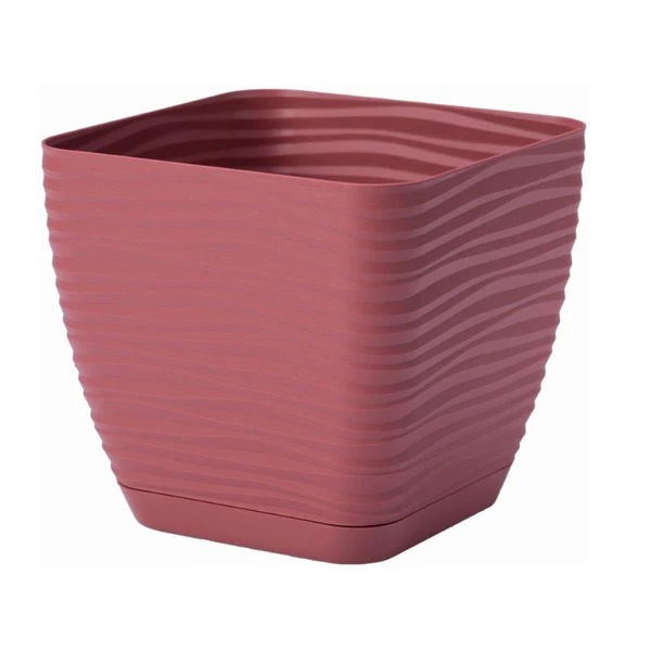 DONICZKA SAHARA KWADRAT PETIT Z/P *23* MARSALA