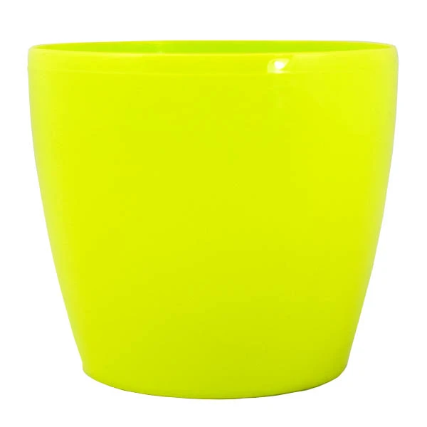 DONICZKA *MAGNOLIA* 12CM LIMONKA