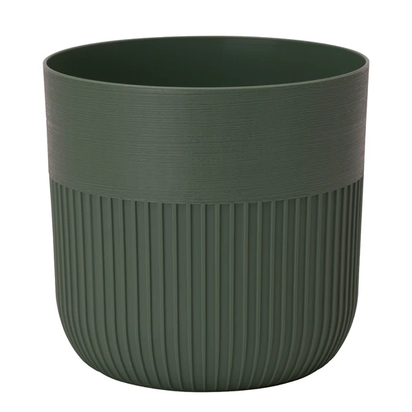 DONICZKA LUCA PETIT 12 ZIELONA HERBATA