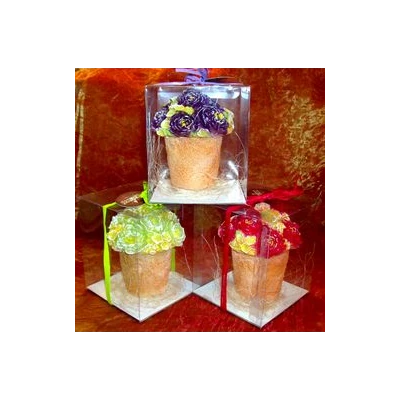 CAND-ŚWIECA DON.ANEMON ŚREDNI