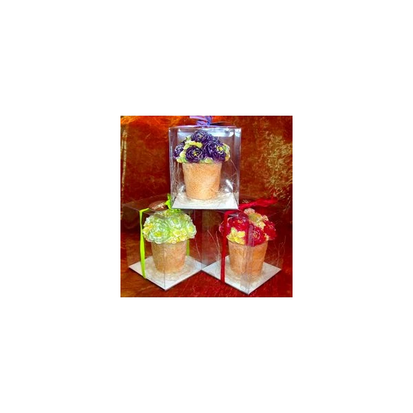 CAND-ŚWIECA DON.ANEMON ŚREDNI