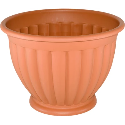 DONICZKA GRECZYNKA *3*    33CM