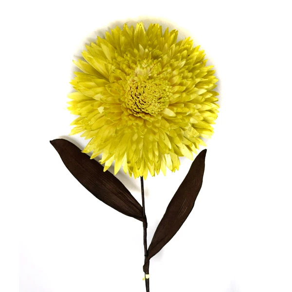 EUR-KW/EKO/02/ZIELONY