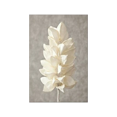 EUR-KWIAT FLORE/11/B