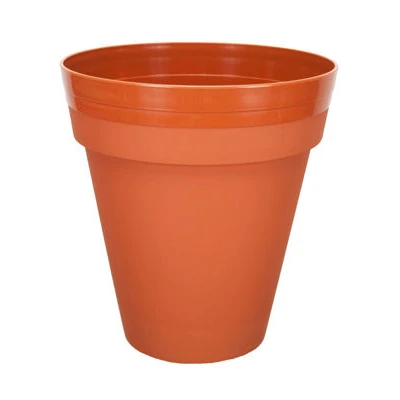 PALMÓWKA IRYS *1* 34CM