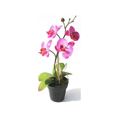 TOM-STORCZ.W DON.28CM XDT1061