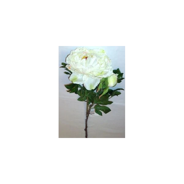 EUR-KW/PIWONIA/A/K WIOSNA