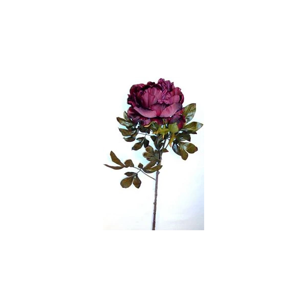 EUR-KW/PIWONIA/B/BORDO JESIEŃ