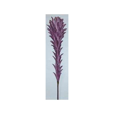 EUR-KWIAT ANANAS/26/FIOLET