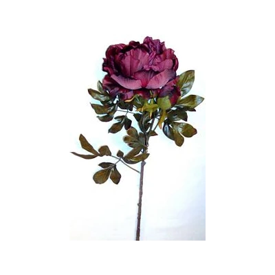 EUR-KW/PIWONIA/B/BORDO JESIEŃ