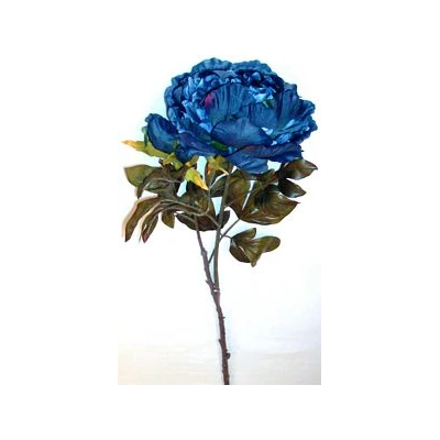 EUR-KW/PIWONIA/B/GRA JESIEŃ