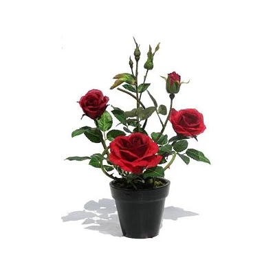 TOM-RÓŻA W DONICZ.30CM XDT1240