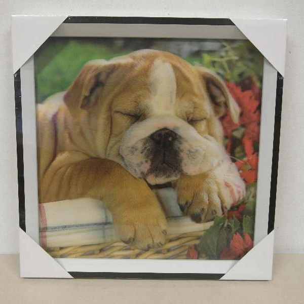 TRU-OBRAZ 3D 30*30  *25-625F*