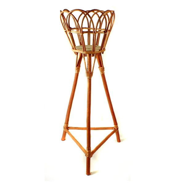 WIKLINA-KWIETNIK 1 WYSOKI