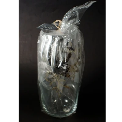 JAK-WAZON FACILE H36 01-88