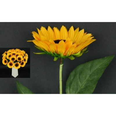 L120-SŁONECZNIK SATYNOWY /1/