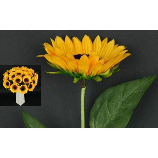 L120-SŁONECZNIK SATYNOWY /1/