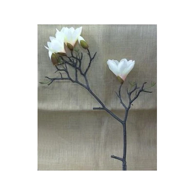 EUR-KWIAT MAGNOLIA/ŻÓŁ GAŁŃZKA