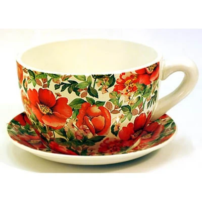 MONDEX-DONICZKA Z/P FILIŻANKA BS1245S DZIKA RÓŻA