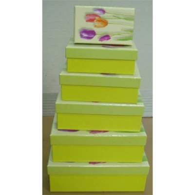 TOM-KPL.6 PUDEŁEK CBP6_43