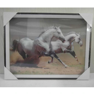 TRU-OBRAZ 3D 30*40  *25-625B*