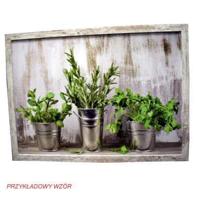 CER-OBRAZ REPRODUKCJA 70*50 (SB) EFEKT STAREJ RAMY