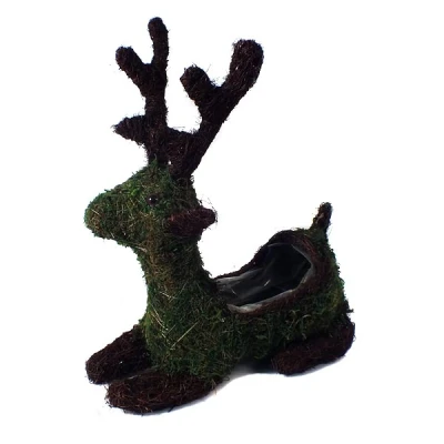 DM-DONICZKA JELEŃ 2021