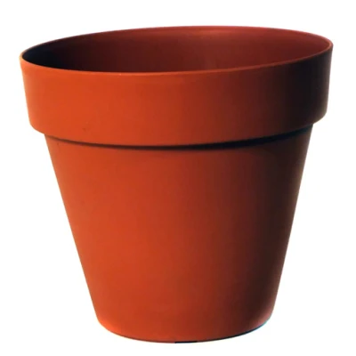 DONICZKA *SEKWOJA*        48CM