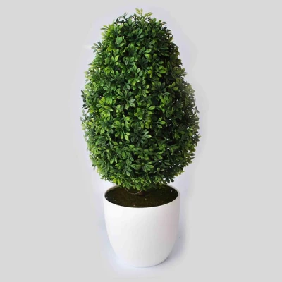 MON-BUKSZPAN W DONICZCE 38CM 8844