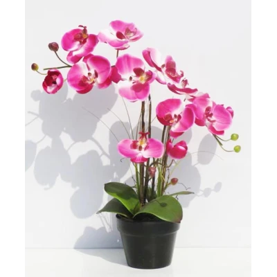 TOM-STORCZYK W DONICZCE 41CM XDT1150