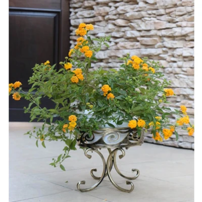 DĄSTAL - STOJAK *I* NISKI ZŁOTY 10-1521