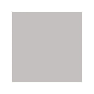 PAW-SERWETKI AIRLAID 40*40 SREBRO/SZARY /50/