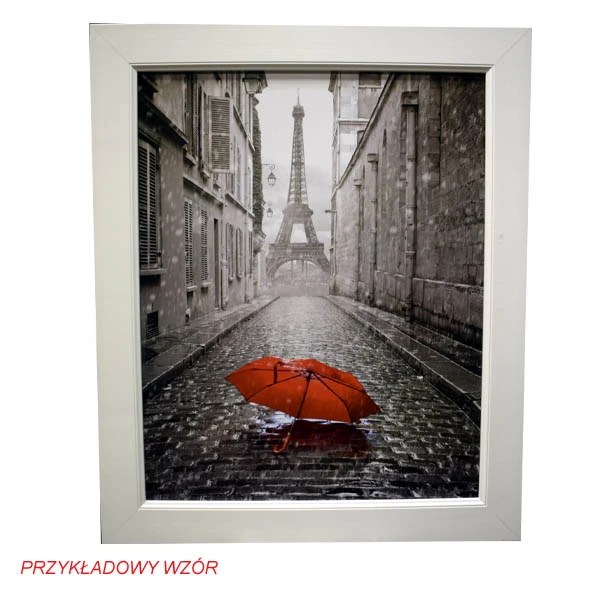 CERPLAST-OBRAZ REPRODUKCJA 50*40 (o.f)