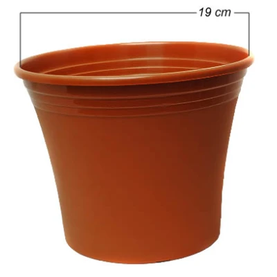 DONICZKA  IRYS  19CM *7*