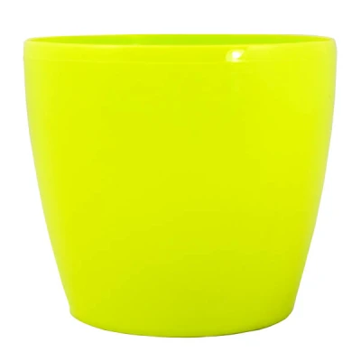 DONICZKA *MAGNOLIA* 12CM LIMONKA