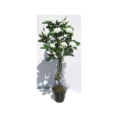 TOM-RÓŻA W DONICZ.81CM XDT1284