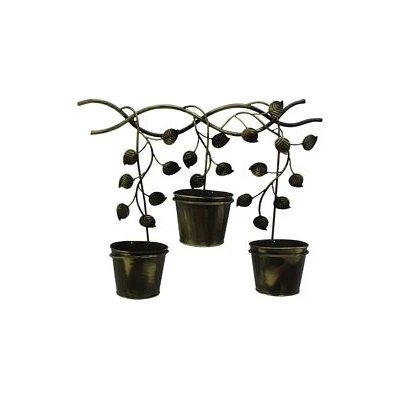 KWIETNIK ŚCIENNY     HS 080062